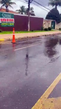 Moradores de Vicente Pires estão preocupados com água 'brotando' de asfalto