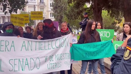 Protesta feminista contra la cumbre antiabortista que se celebra en el Senado español