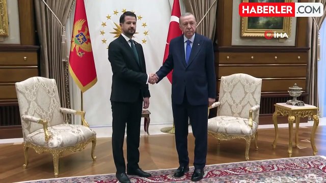 Cumhurbaşkanı Erdoğan ile Karadağ Cumhurbaşkanı Milatoviç görüştü