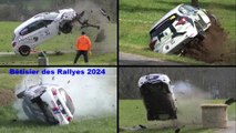 Best of Rallye 2024 mistakes & crashes