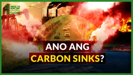 Ano ang Carbon Sinks? | Need to Know