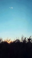 "Invest in Your Dreams: Grind Today, Shine Tomorrow!"