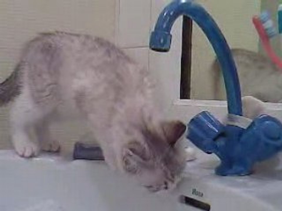 Salem et le lavabo