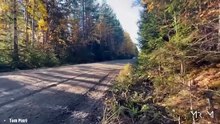 This is Rally 19 _ The best scenes of Rallying (Pure sound)