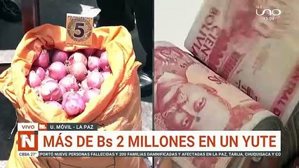 ¿Dinero en la cebolla? Descubre cómo aprovechar esta tendencia 💰