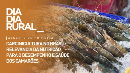 Carcinicultura no Brasil: relevância da nutrição para o desempenho e saúde dos camarões