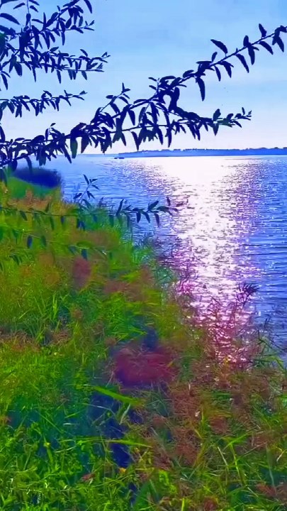 Beauty of Nature