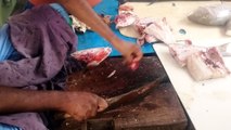 Fastest Snapper Fish Cutting  SMN Fish Cutting