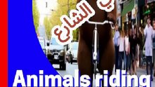 #animals ride bick
