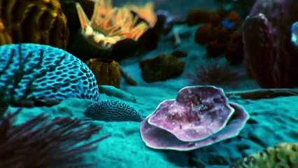 Cosmos (2014) - S01E09 - The Lost Worlds of Planet Earth