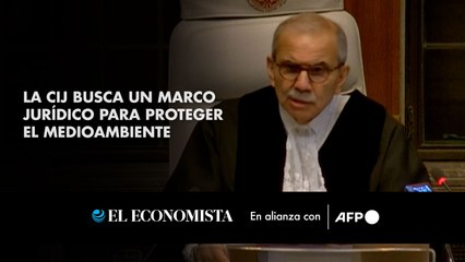 La CIJ busca un marco jurídico para proteger el medioambiente