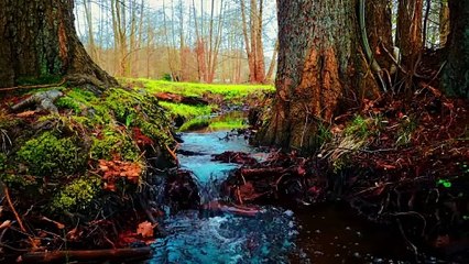 One Act of Kindness Changed Her Life ｜ learn english through story ｜spoken English learning video