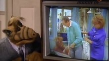 ALF 04x12, Fiebre