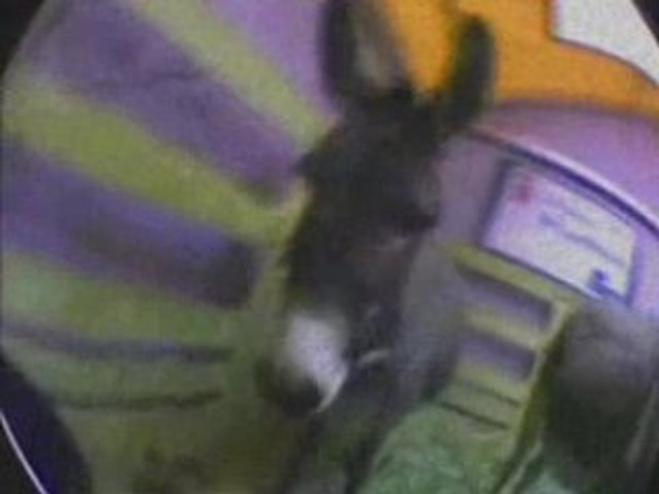 Arlon (belgique) avril 2008