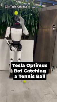 Tesla Optimus Bot Catching a Tennis Ball