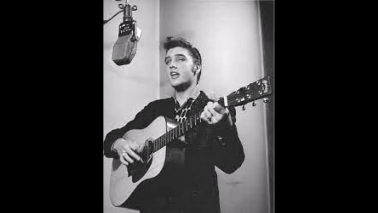 La guitare d'Elvis 2 : don't be cruel; le rock selon moi