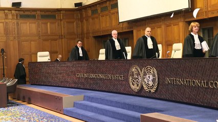 CIJ busca marco jurídico para proteger meio ambiente