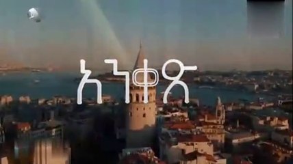 ankes 40_2024-12-05_20-39-50