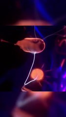 Eintauchen in ein Kaleidoskop aus Farben und Licht ✨🌌