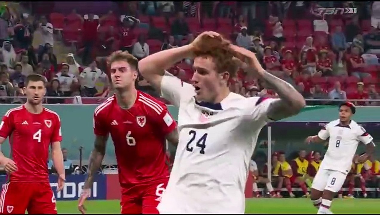 United States vs Wales     highlights. ⚽🌍