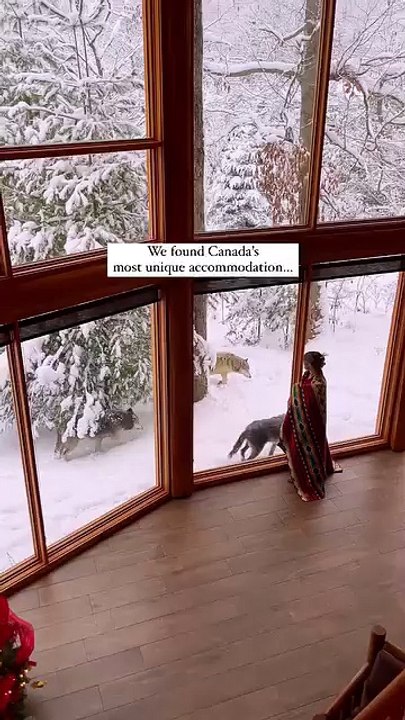 We found Canada's