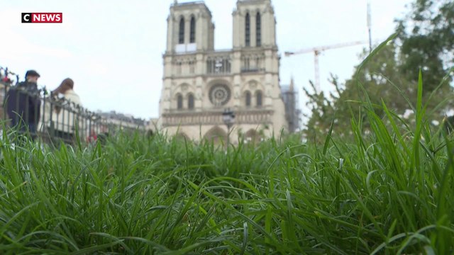 Notre-Dame : le parvis de la cathédrale ne sera pas prêt pour la réouverture