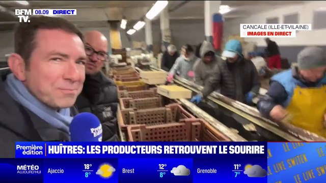 On contrôle les huîtres une par une pour être sûr qu'elles sont en bonne santé : les ostréiculteurs retrouvent le sourire, malgré un démarrage plus lent de la consommation