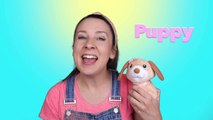 Learning Videos for Babies and Toddlers - Animal Sounds, First Words, Toddler Speech Learning Exercises