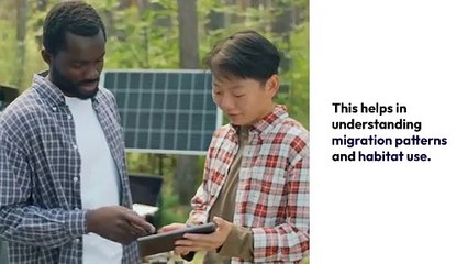 Unexpected Applications Of AI in Environmental Monitoring Devices
