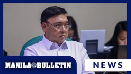 Harry Roque files counter-affidavit notarized in Abu Dhabi