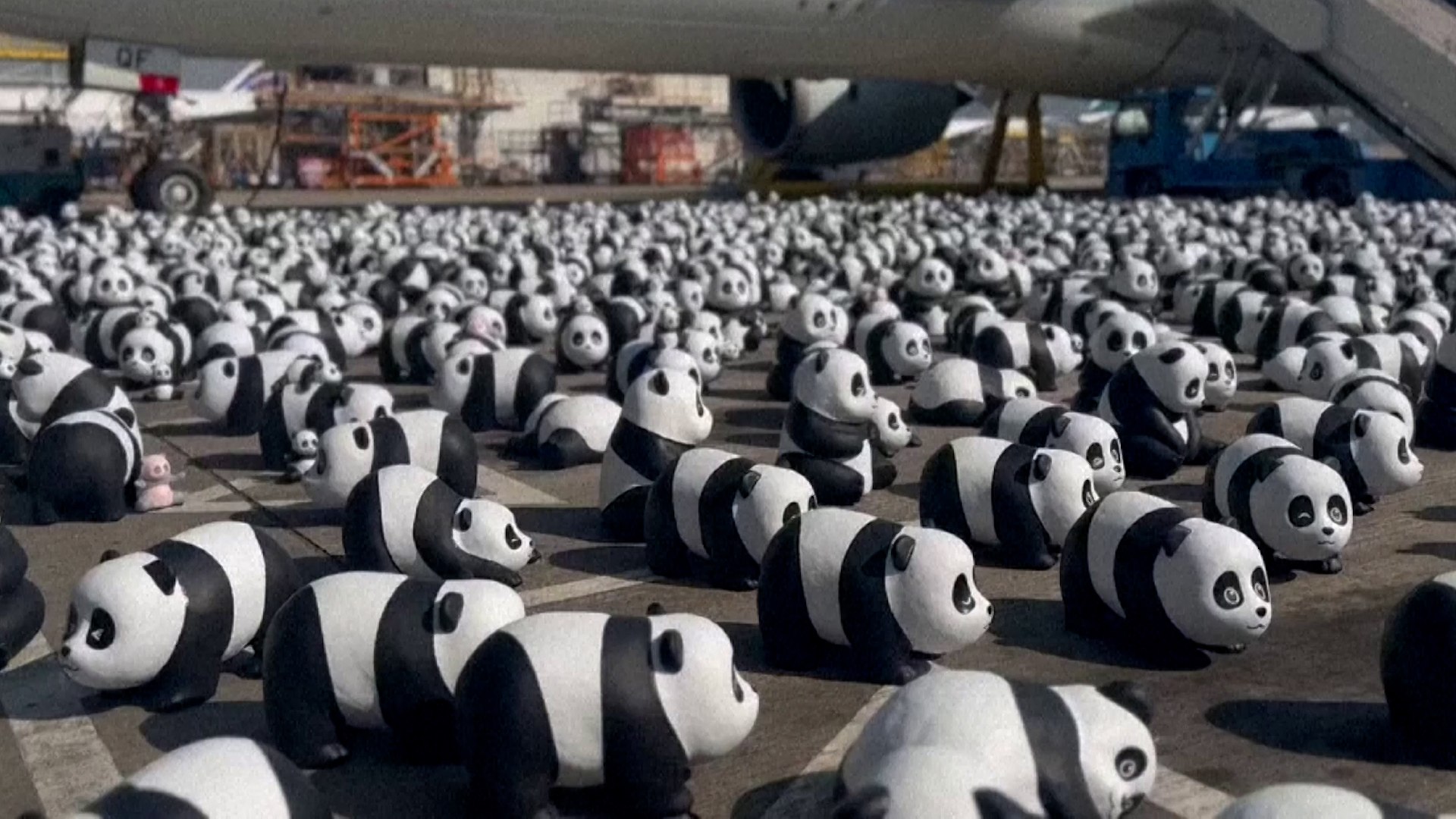 La ceremonia de inauguraci�n de la gran exposici�n tem�tica PANDA GO! FEST HK se celebr� el lunes en el Aeropuerto Internacional de Hong Kong, con la presentaci�n conjunta de 2.500 esculturas de pandas gigantes.