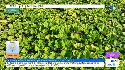 03/12/2024 - ICI Matin France Bleu Maine en vidéo