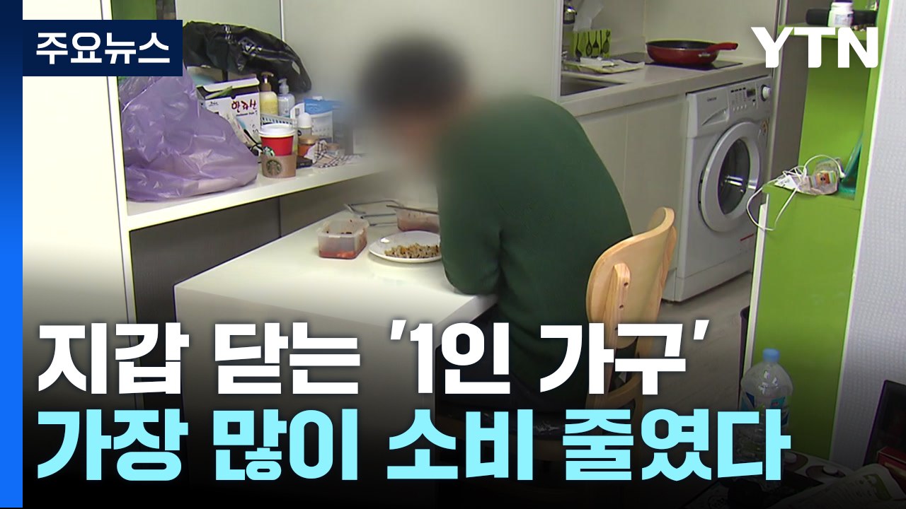세 집 중 한 집 '1인 가구'...지갑 닫아 내수 '흔들' / YTN