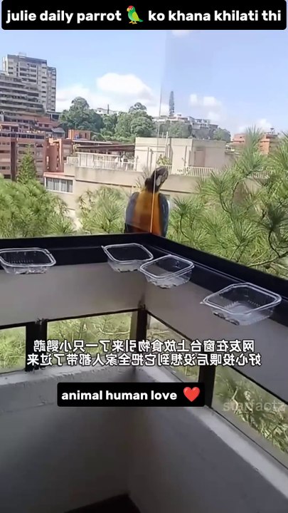 julie तोता 🦜 ko daily खाना kyu खिलाती thi🥹🥹