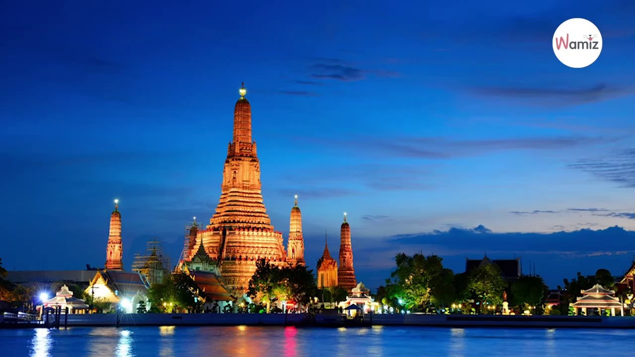 Hündin gebärt Nachwuchs: Als der Tierarzt Welpe Kevin sieht, muss er laut schreien!