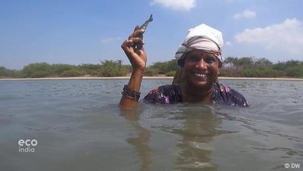 Tamil Nadu women fish neck-deep in the river