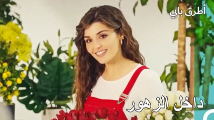 أجمل فتاة في حديقة الزهور - عشق مشروط