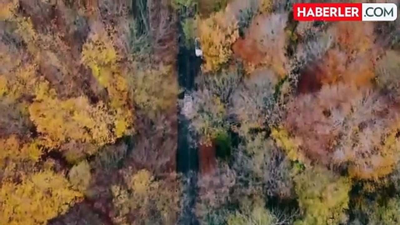 ''Belgrad Ormanı imara açılıyor'' iddiası ile ilgili beklenen açıklama