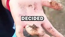 SAVING CRAB BABIES! #animals #animalstories #pets #animalrescue #cute #cuteanimals #natureglobal