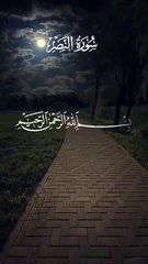 Surah An Nasr (Recitation 🌹🕋 )