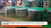 Se celebró por primera vez Matear en Posadas dentro de la Feria de Turismo de Misiones