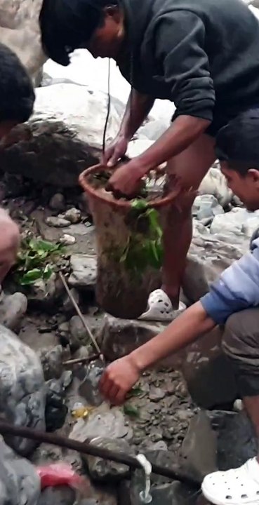 Duwali Fishing in Nepal | Himalayan Trout Fishing with Barehand | Asala Fishing |