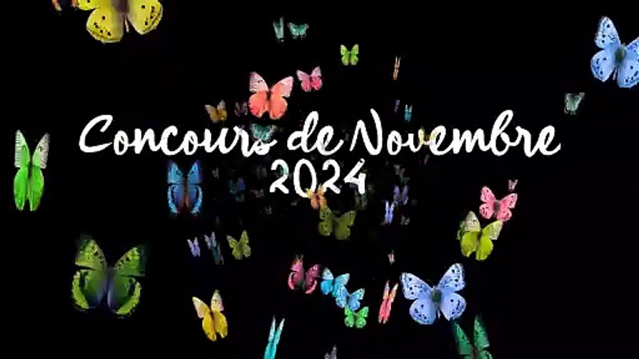 2 NOVEMBRE 2024