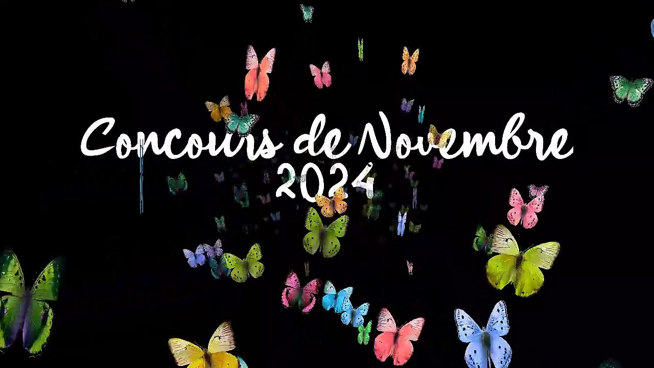 3 NOVEMBRE 2024