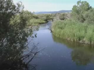 Laramie River Ranch - Fishing
