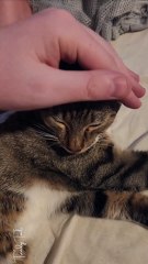 Sound on for pure happiness