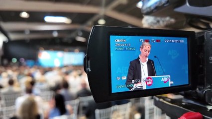 AfD-Vorstand strebt Auflösung von extremistischer Jugendorganisation an