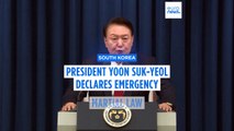 South Korean president declares emergency martial law