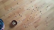 κρατάω μικρό καλάθι ("ich halt einen kleinen Korb, bis zur Deadline", Isabella Breier, work in progress, 2024)