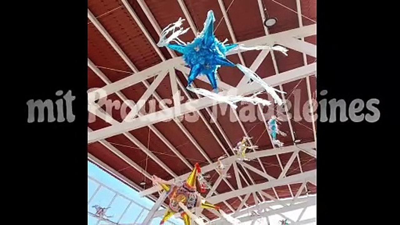 nach dem Meeting mit Prousts Madeleines (Isabella Breier)